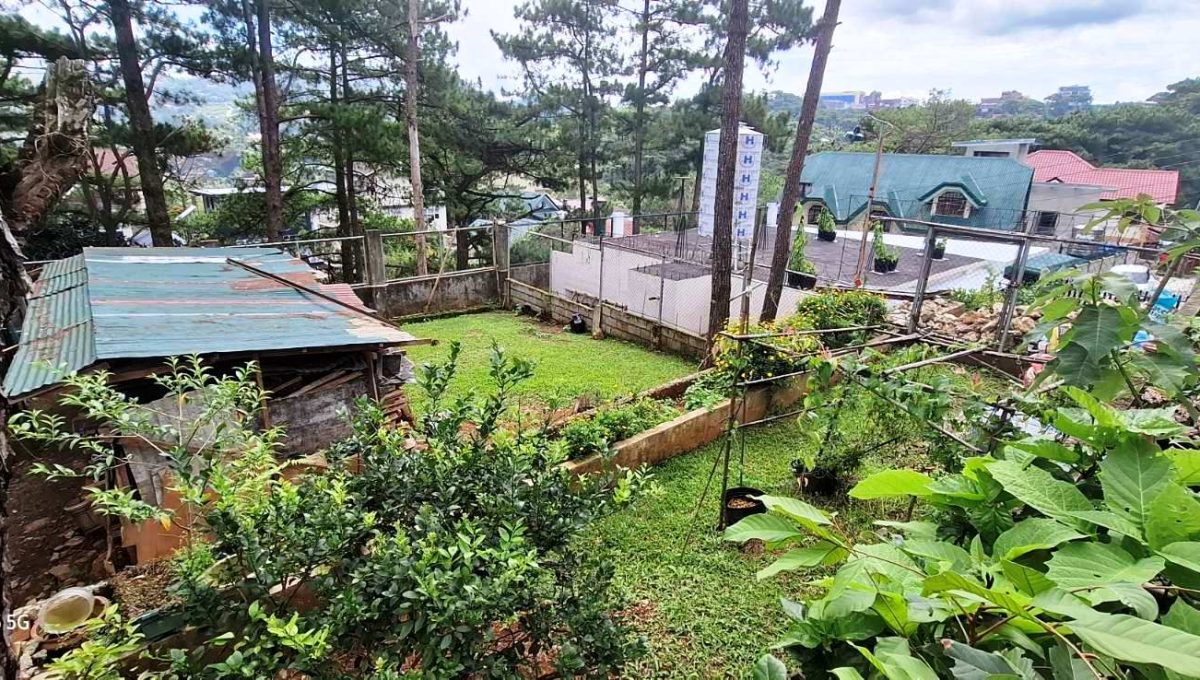 viber_image_2025-06-20_15-11-12-466